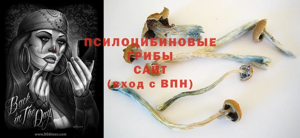 дмт Пенза