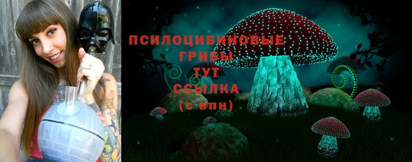 соль ск Лиски