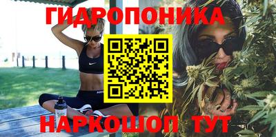 метадон Берёзовский