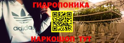 метадон Берёзовский