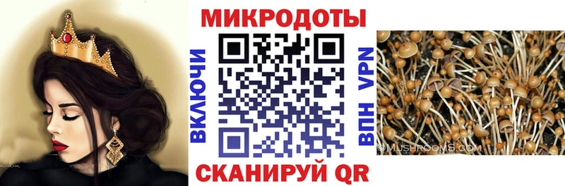 Псилоцибиновые грибы мицелий  Пушкино 