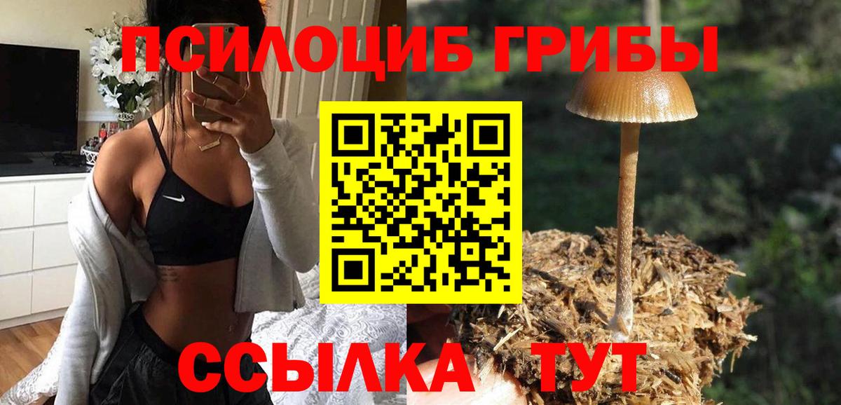 Псилоцибиновые грибы ЛСД  Пушкино 