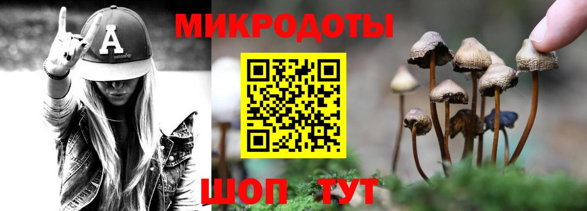 Псилоцибиновые грибы GOLDEN TEACHER  Псилоцибиновые грибы MAGIC MUSHROOMS  Пушкино  Вход с VPN 